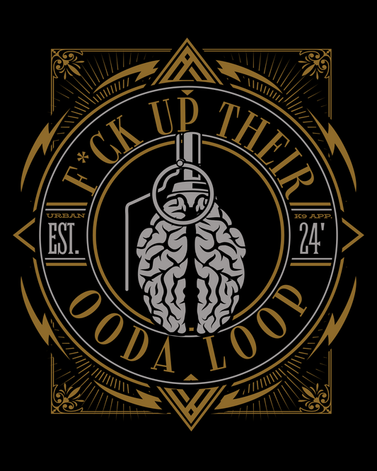 Ooda Loop Tee